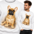 BLUZA ZWIERZĘTA  BOSTON TERRIER